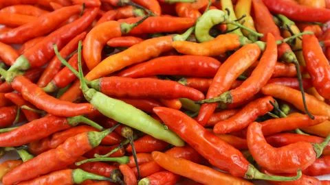 Red hot chilli peppers pattern texture background. Close up. Landscape. bac.. Stock Photos