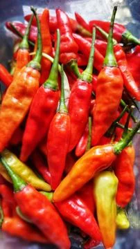 Red Hot Chilli Peppers' pattern, texture, and background. Close up. Landsca.. Stock Photos