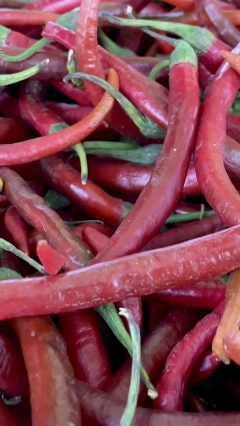 Red hot chilli peppers on a vegetable shop. Fresh Red Chillies. Red pepper Stock-Footage 287437702