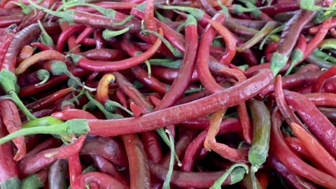 Red hot chilli peppers on a vegetable shop. Fresh Red Chillies. Red pepper Stock Footage 287438175
