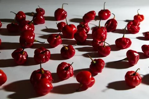 Red hot chilli peppers on white background Stock Photos