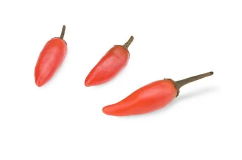 Red hot chilli Fotos Stock