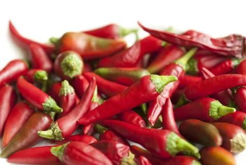 Red Hot Chilli Stock Photos