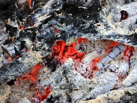 Red-hot coal Stock Photos