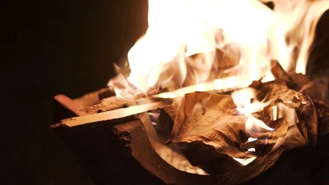 Red hot fire charcoal with burning tree leaves Stock Footage 121133192