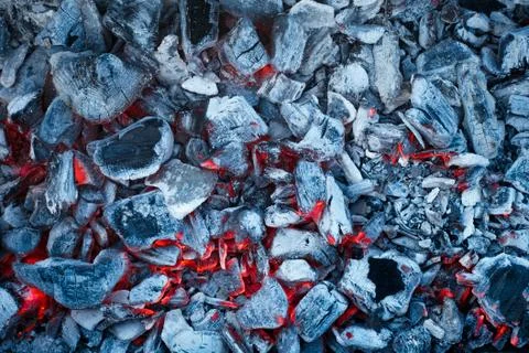 Red-hot firebrands in a bonfire. Stock Photos
