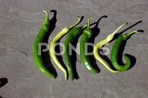 Red Hot Green Chili Peppers