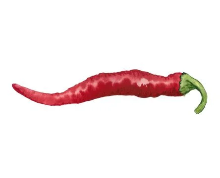 Red hot pepper Stock Illustration