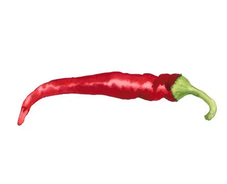 Red hot pepper Stock Illustration