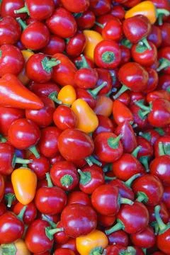 Red hot pepper Stock Photos