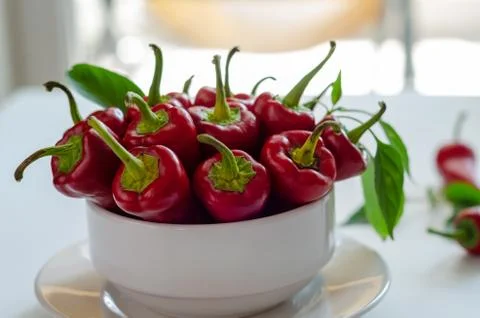 Red hot pepper Stock Photos