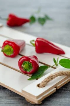Red hot pepper 写真素材