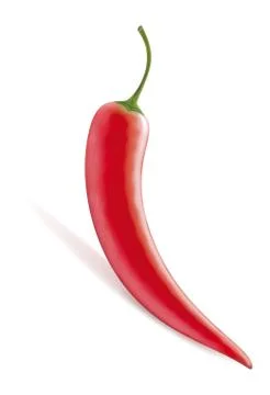 Red hot pepper, vector illustration. Stock-Illustration