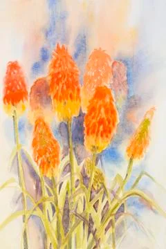 Red Hot Pokers Stock Illustration