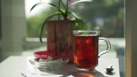 Red Hot Tea: Cozy Window View with Greenery Video stock 343551695