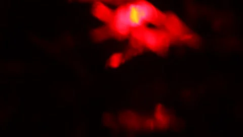 Red H's Blurred Lava Lamp RAW Stock Footage 237007586