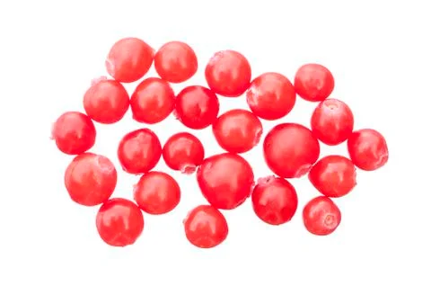 Red huckleberries Foto stock