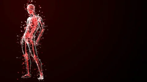 Red human antomy Stock Footage 60698113