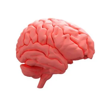 Red human brain Stock Illustration