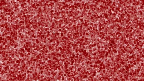 Red, human cell animation. Cells, stem b... | Stock Video | Pond5
