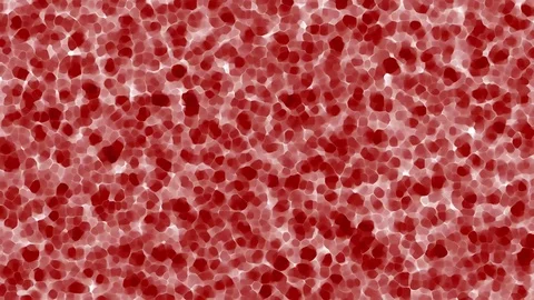 Red, human cell animation. Cells, stem b... | Stock Video | Pond5 Red, human cell animation. Cells, stem b... | Stock Video | Pond5