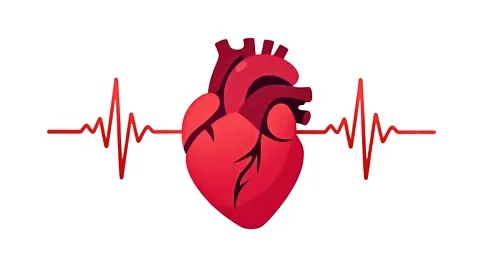 A red human heart beats on a white background Stock Footage 286370932