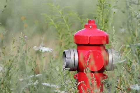 Red hydrant in the big grass Stock Photos