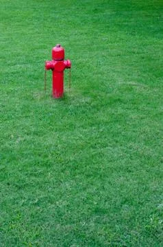 Red hydrant on a lawn Stock Photos