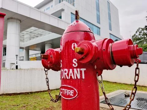 Red hydrant Stock Photos