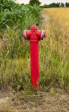 Red hydrant standing by the road just outside the field Foto stock