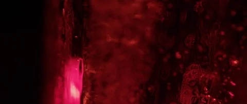 Red ice cube rotate on dark background macro shot Stock Footage 106007393