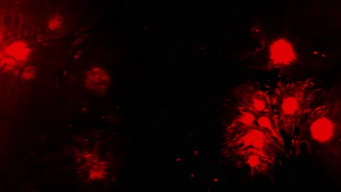 Red ink on abstract background. Spilling... | Stock Video | Pond5