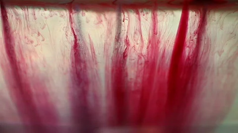 Red Ink Blots Vídeo Stock 720895