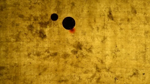 Red ink drop explode in a liquid solution textured background from above  Stock Footage 124288747
