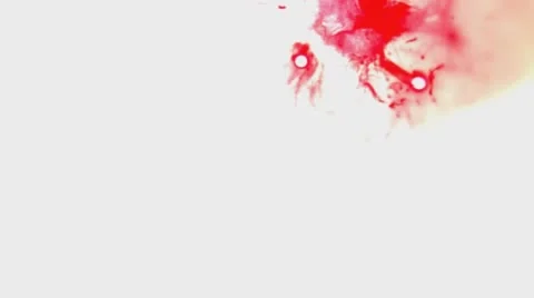 Red Ink Drop On White Background  Stock Footage 58763451