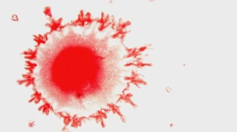 Red Ink Drop On White Background  Stock Footage 58763529