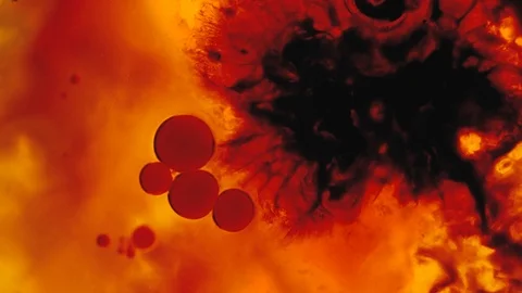 Red ink drops explode near a patch of black ink Vídeos de archivo 119815260