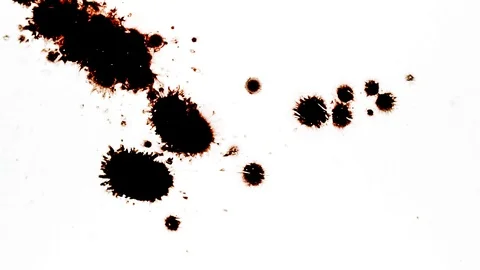 Red ink drops splatters spilling on white background Video stock 125476365