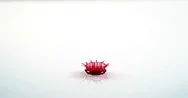 Red Ink Falling Into Liquid Against White Background, Slow Motion 4K Stock Footage