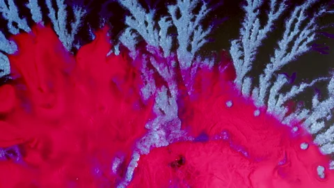 Red ink flows over blue radiating pattern. Macro Abstract liquid paint visuals.  Stock Footage 135572360