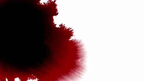 Red ink spots and splashes on white background Stock-Footage 275276048