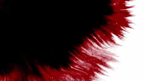 Red ink spots splashing on white background Stock Footage 276289863