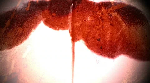 Red Ink Spread 库存影片 105554