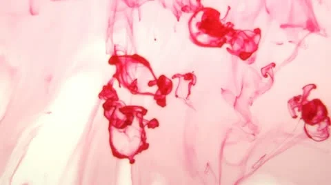 Red ink in water Stock Footage 12568932