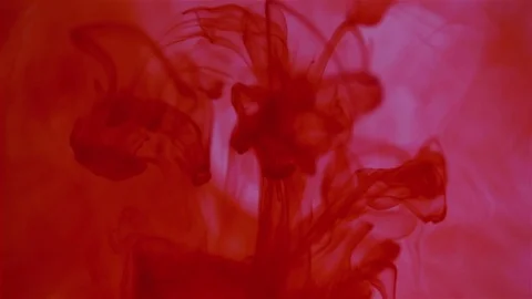 Red ink in water Video stock 74368104