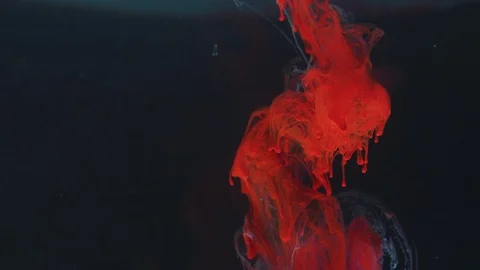 Red ink in water Video stock 100019023