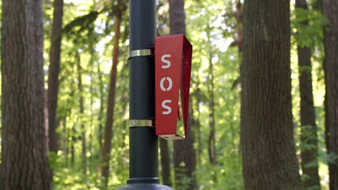 Red intercom in park for emergency communication,you have to press button for Stock Footage 197440671