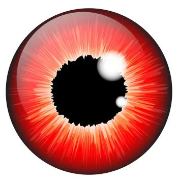 Red  iris eye realistic  vector set design isolated on white background Ilustración de archivo