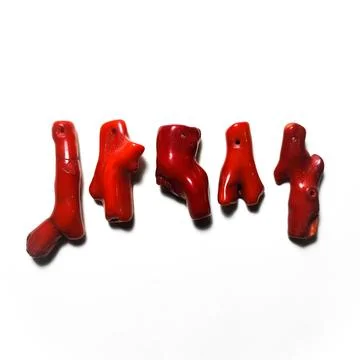 Red irregular shape coral branches beads at white background Stock Photos