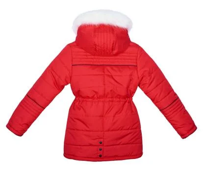 Red jacket on white background. Back view Stock Photos